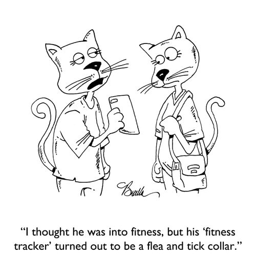 "I thought he was into fitness, but his 'fitness tracker' turned out to be a flea and tick collar."