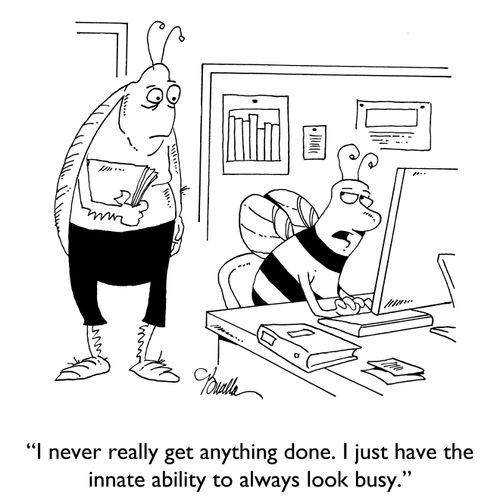 "I never really get anything done. I just have the innate ability to always look busy."