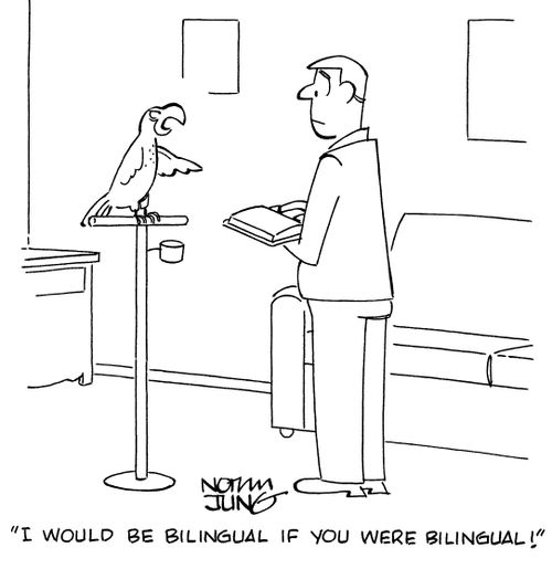"I would be bilingual if you were bilingual!"