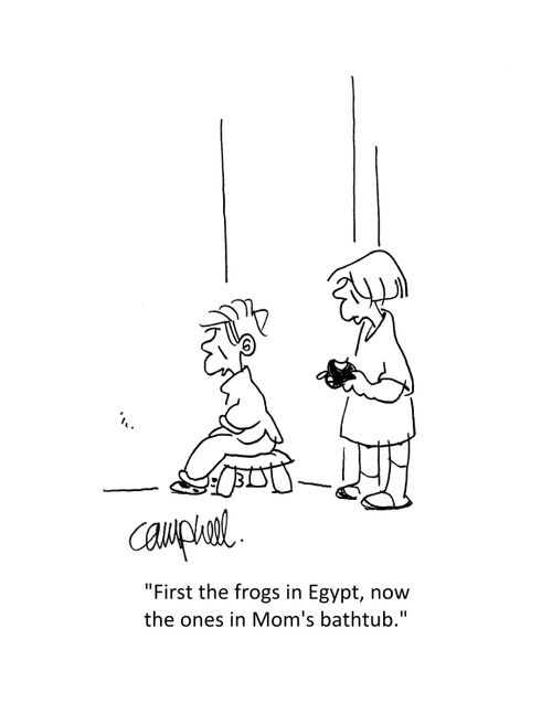 "First the frogs in Egypt, now the ones in Mom's bathtub."