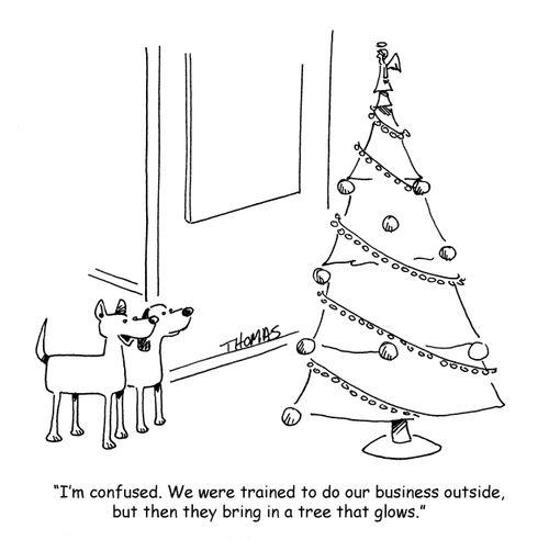 "I'm confused. We were trained to do our business outside, but then they bring in a tree that glows."
