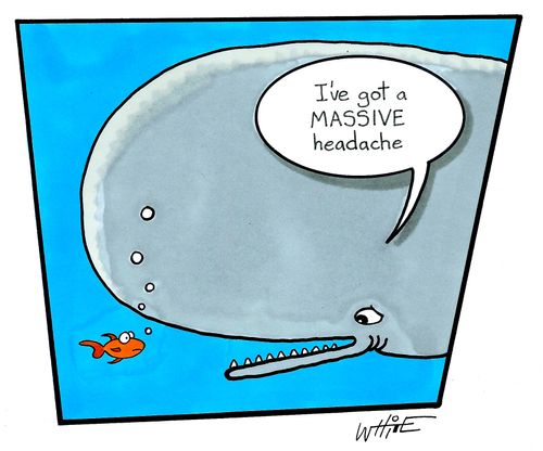 "I've got a massive headache."