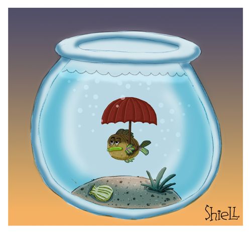 Fish Umbrella