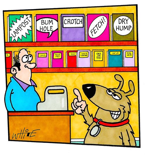 Top Shelf Magazines for Dogs