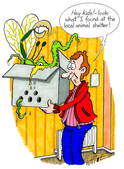 "Hey kids! - look what I found at the local animal shelter!"