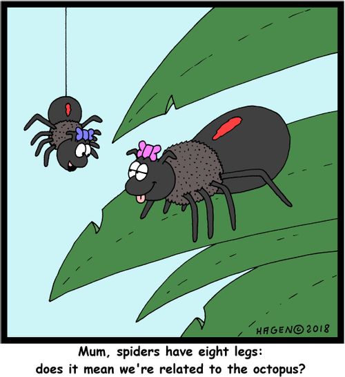 "Mum, spiders have eight legs: does it mean we're related to the octopus?"