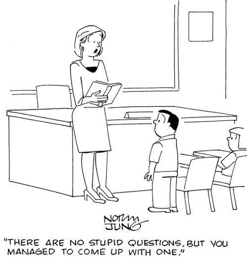 "There are no stupid questions, but you managed to come up with one."