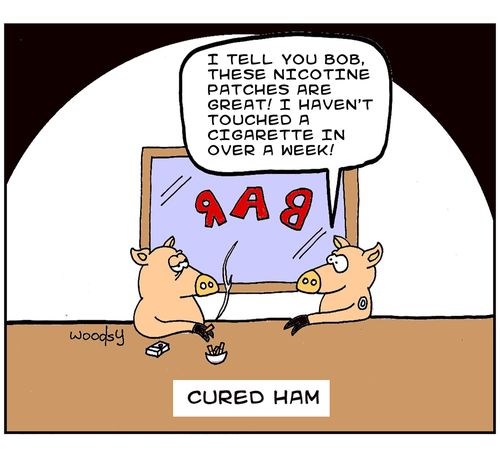 Cured Ham