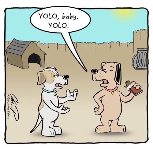 "YOLO, baby. YOLO."