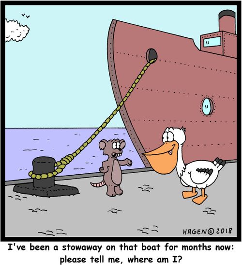 "I've been a stowaway on that boat for months now: please tell me, where am I?"