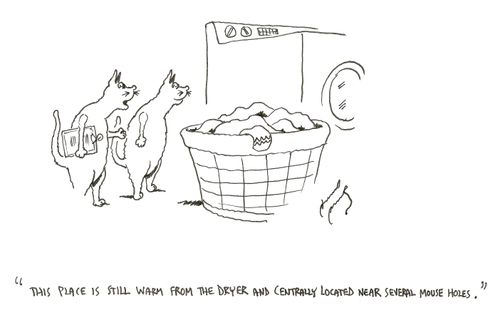 "This place is still warm from the dryer and centrally located near several mouse holes."