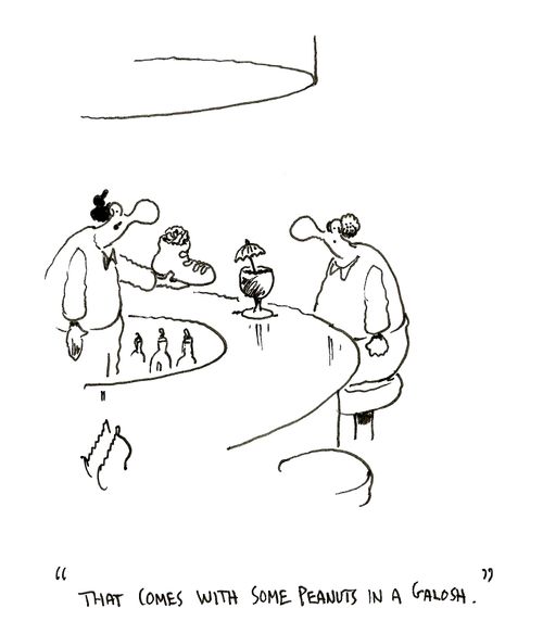 "That comes with some peanuts in a galosh."