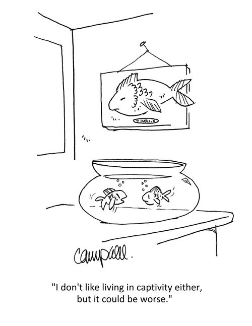 "I don't like living in captivity either, but it could be worse."