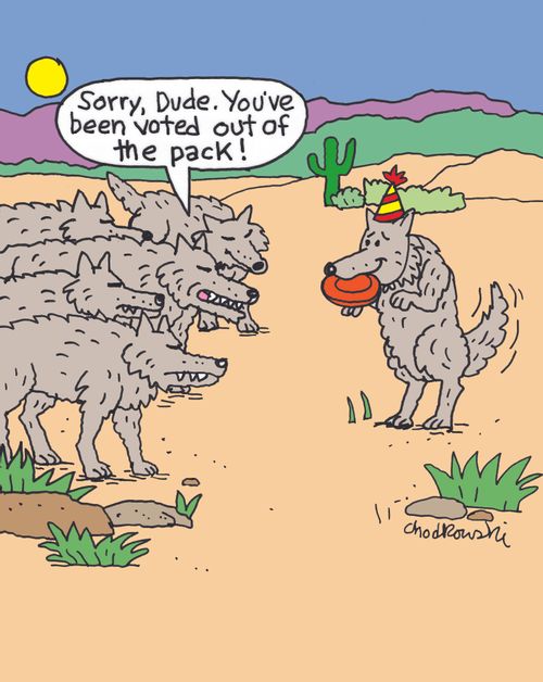 "Sorry, dude. You've been voted out of the pack!"