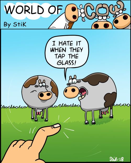 "I hate it when they tap the glass!"