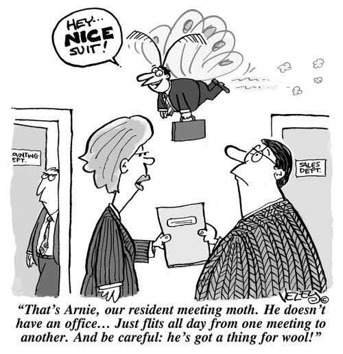 "That's Arnie, our resident meeting moth. He doesn't have an office... Just flits all day from one meeting to another. And be careful: he's got a thing for wool!"