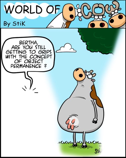 "Bertha, are you still getting to grips with the concept of object permanence?"