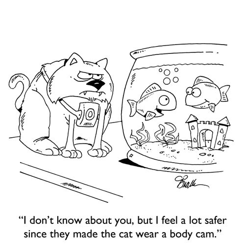 "I don't know about you, but I feel a lot safer since they made the cat wear a body cam."