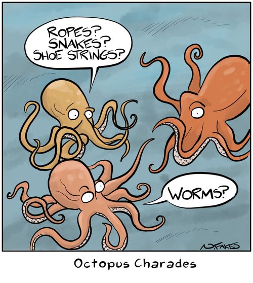 Octopus Charades