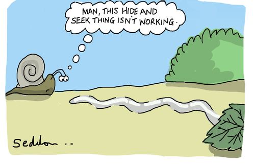 "Man, this hide and seek thing isn't working."