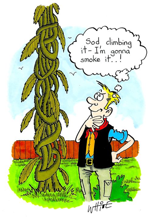 "Sod climbing it - I'm gonna smoke it...!"