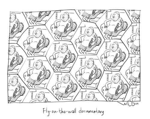 Fly-on-the-wall documentary