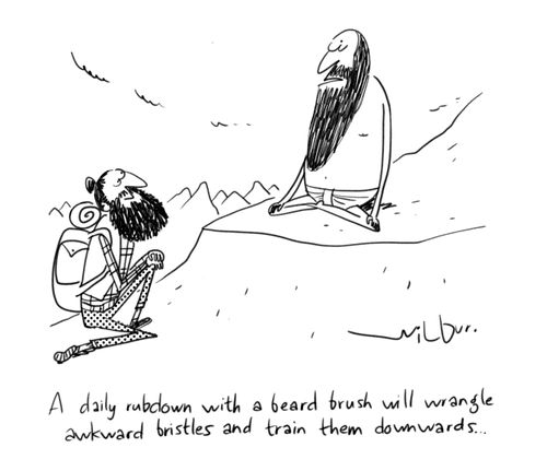 A daily rubdown with a beard brush will wrangle awkward bristles and train them downwards...