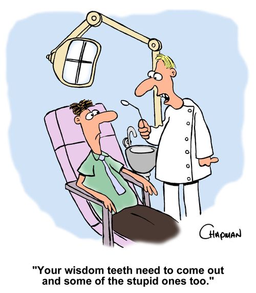 "Your wisdom teeth need to come out and some of the stupid ones too."