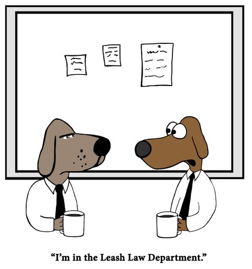 "I'm in the Leash Law Department."