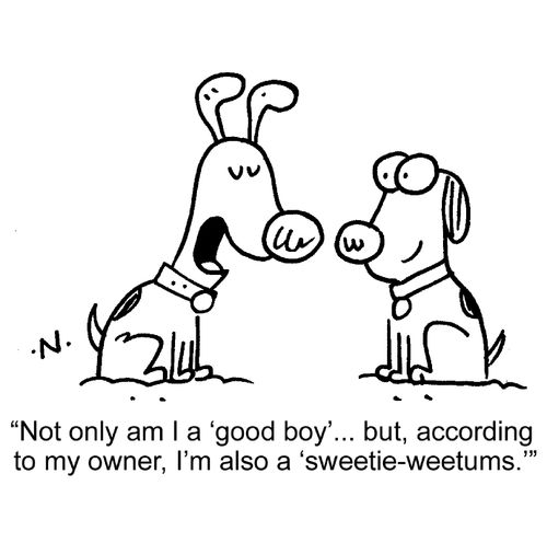 "Not only am I a 'good boy'...but, according to my owner, I'm also a 'sweetie-weetums.'"