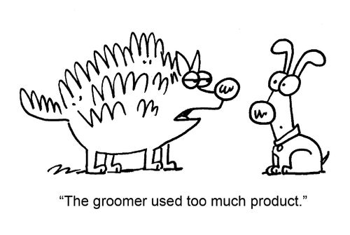 "The groomer used too much product."