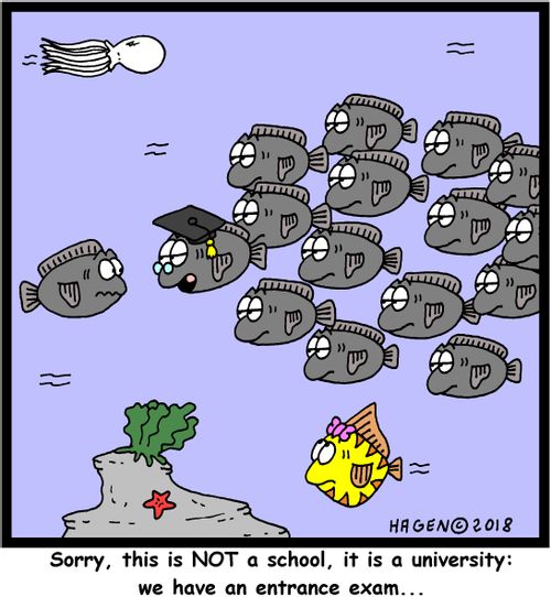 "Sorry, this is NOT a school, it is a university: we have an entrance exam..."