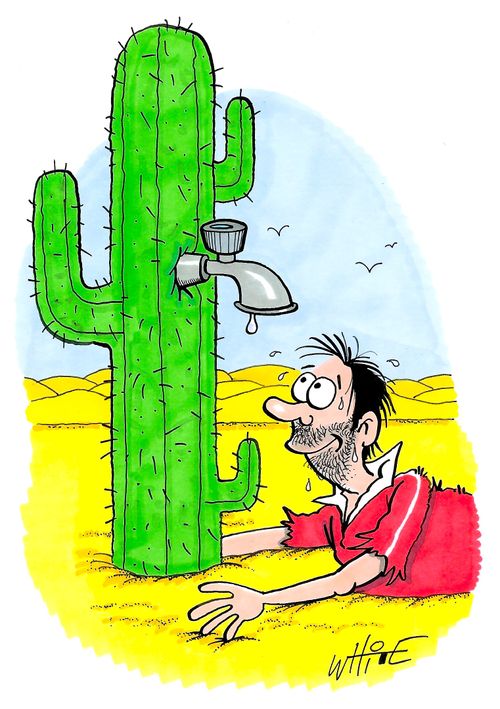 Cactus with Tap