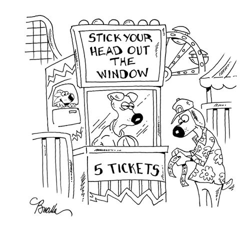Stick Your Head Out The Window