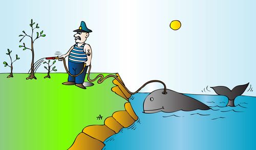Whale watering 