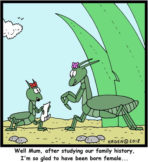 "Well Mum, after studying our family history, I'm so glad to have been born female..."