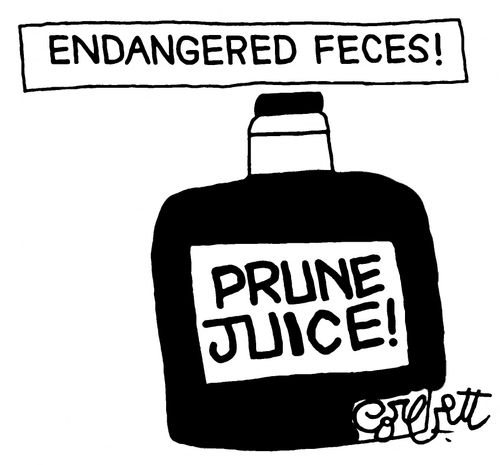 Endangered Feces: Prune Juice