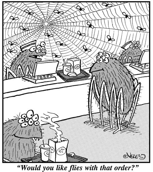 "Would you like flies with that order?"