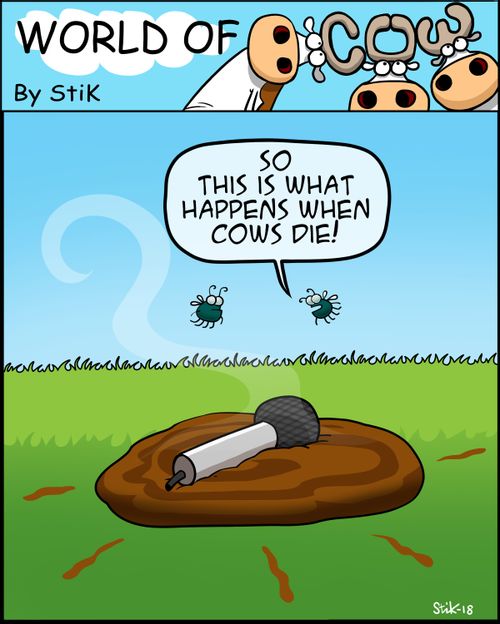 "So this is what happens when cows die!"