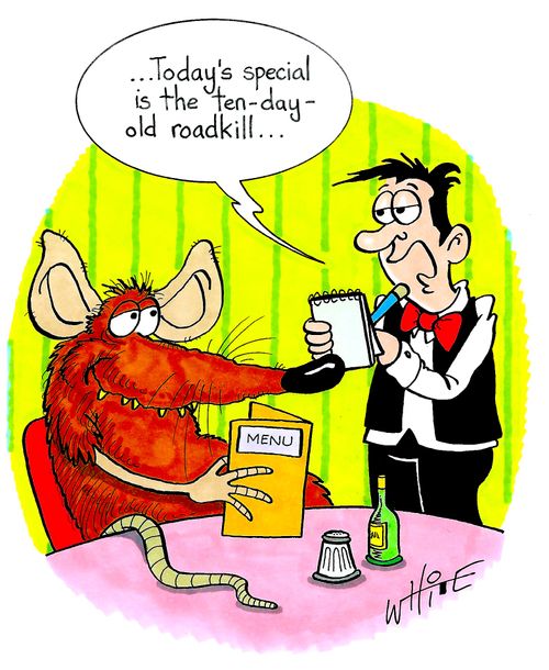 "...Today's special is the ten-day-old roadkill..."