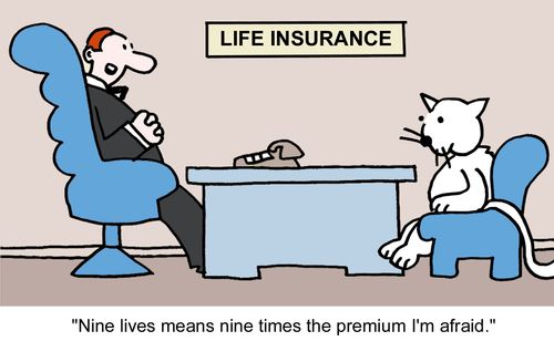 "Nine lives means nine times the premium I'm afraid."