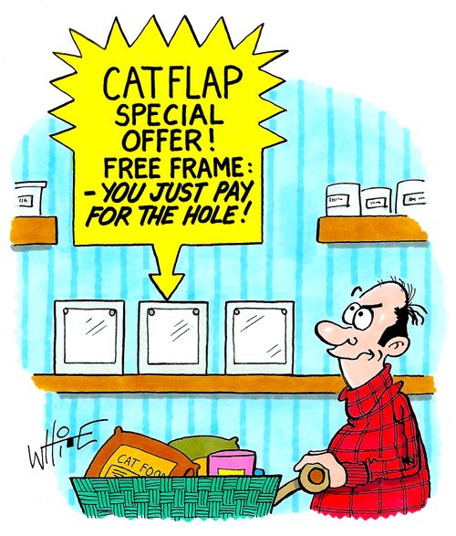 Catflap Special Offer! Free Frame: - You just pay for the hole!