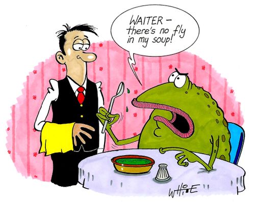 "Waiter - there's no fly in my soup!"