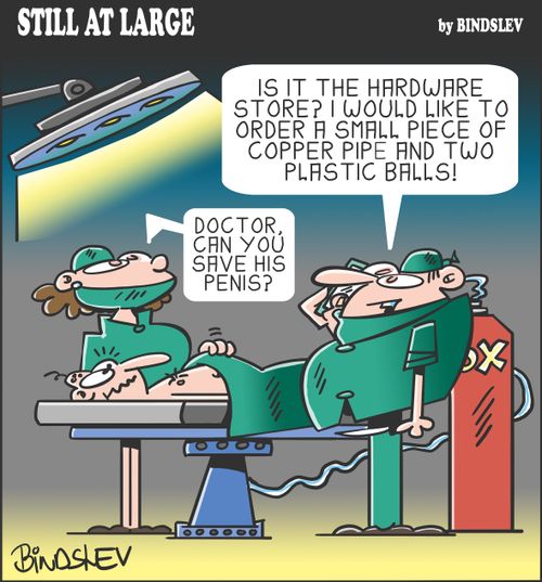 "Is it the hardware store? I would like to order a small piece of copper pipe and two plastic balls!"