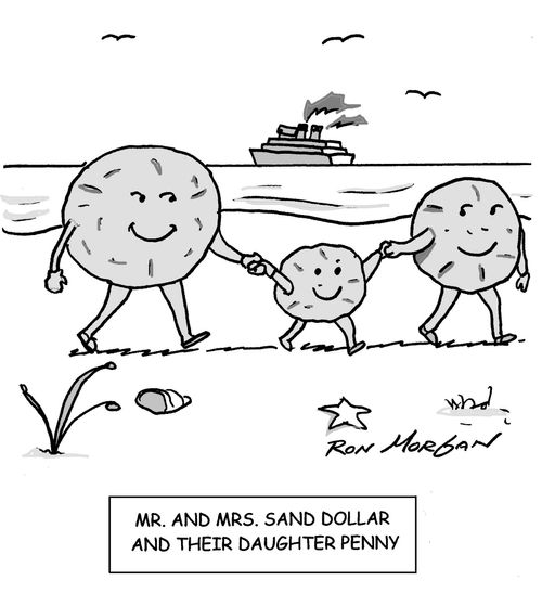Mr. and Mrs. Sand Dollar and their daughter, Penny.