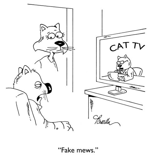 "Fake mews."