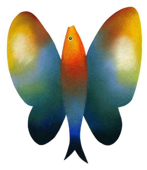 Butterfly Fish