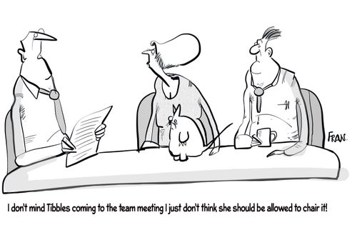 "I don't mind Tibbles coming to the team meeting I just don't think she should be allowed to chair it!"