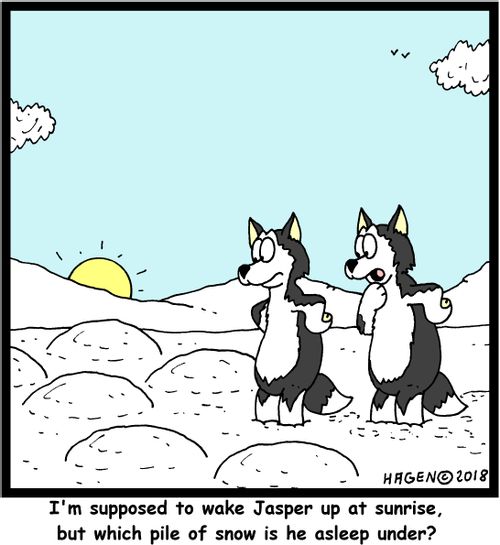 "I'm supposed to wake Jasper up at sunrise, but which pile of snow is he asleep under?"