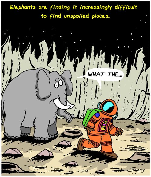 Elephants are finding it increasingly difficult to find unspoiled places.